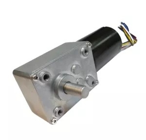 कम शोर द्विअक्षीय वर्म ब्रशलेस गियर मोटर वोल्टेज DC12V