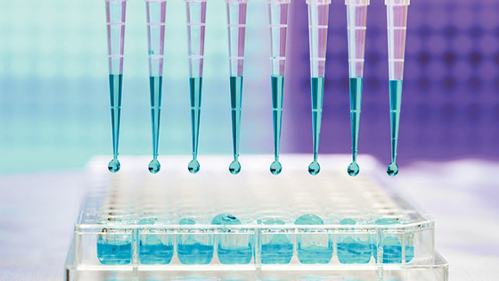 प्रयोगशाला के लिए 10UL 100UL Rnase फ्री स्टेरिल पिपेट टिप्स माइक्रो यूनिवर्सल